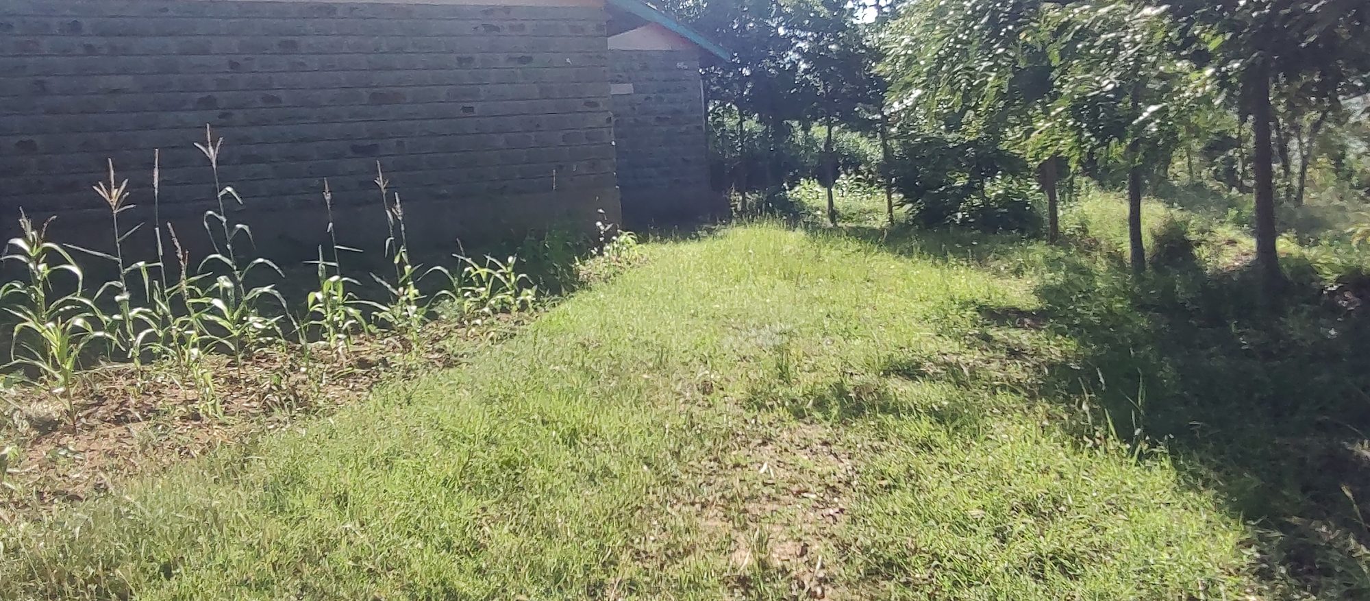 Embu  Kiritiri town 1.14 Acres with 3 bedrooms  bungalow and stores 