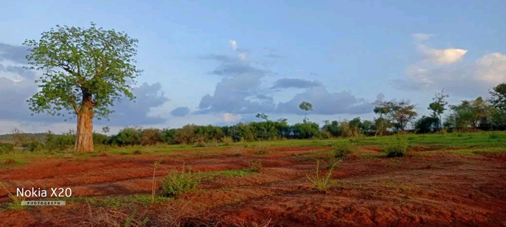 4.6 Agricultural Land near Gitaru station