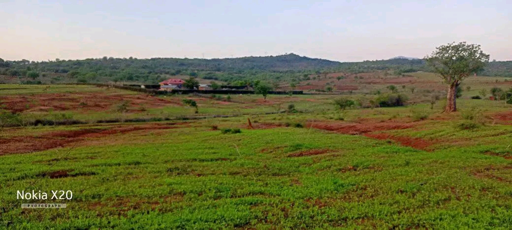 4.6 Agricultural Land near Gitaru station