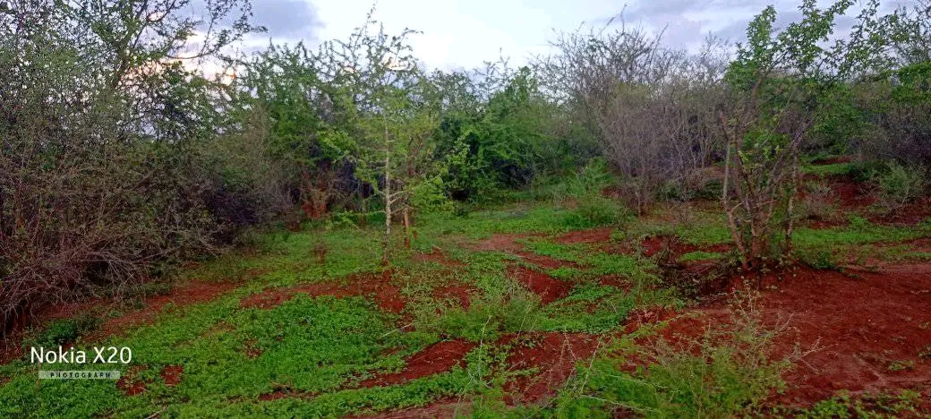 4.6 Agricultural Land near Gitaru station