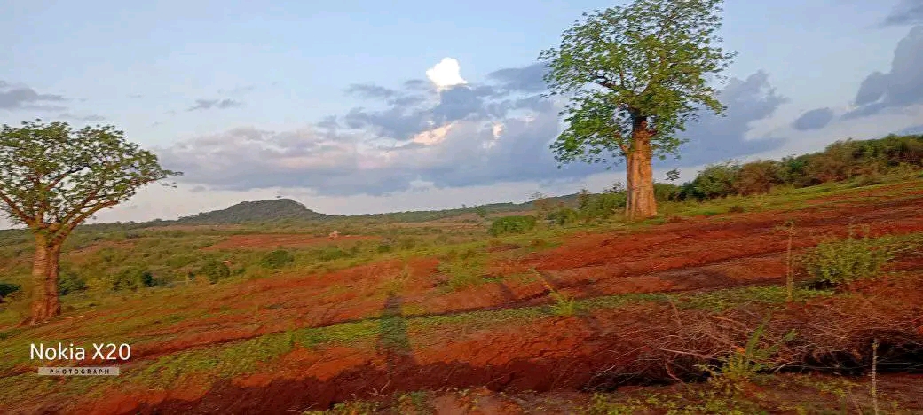 4.6 Agricultural Land near Gitaru station
