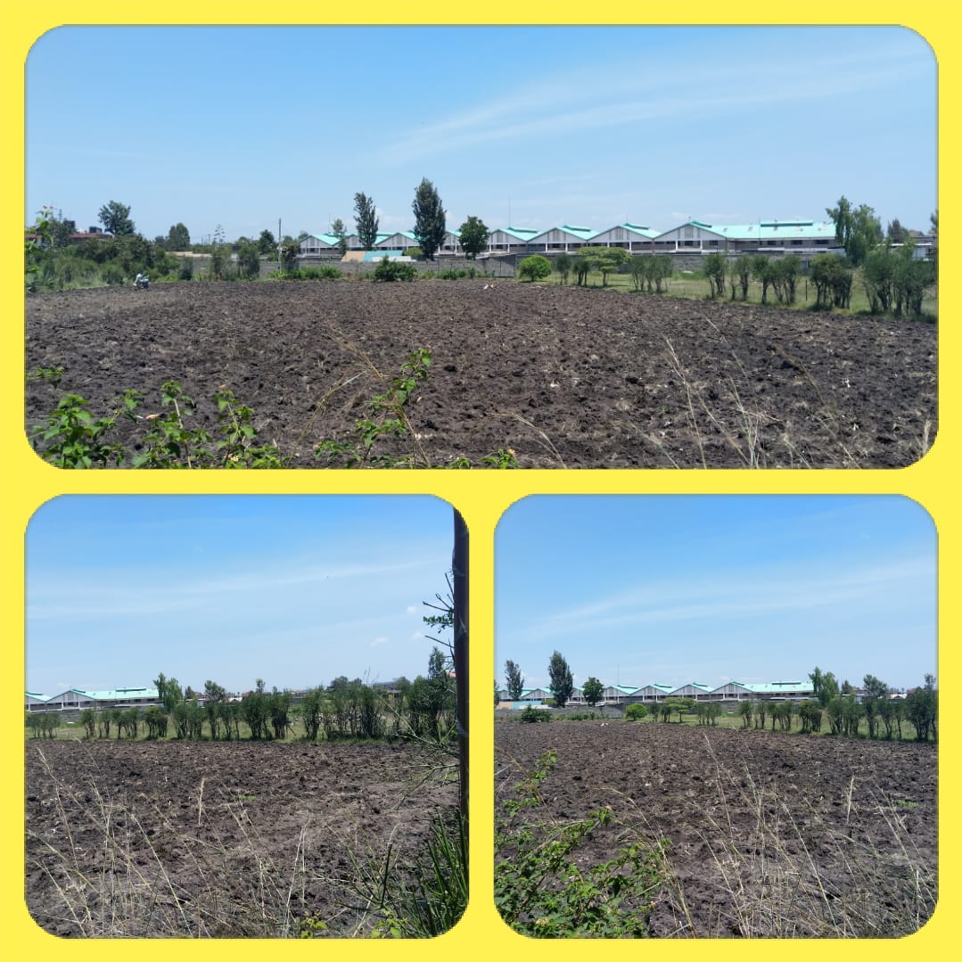 Prime 1.25 Acre in Ruiru Eastern bypass